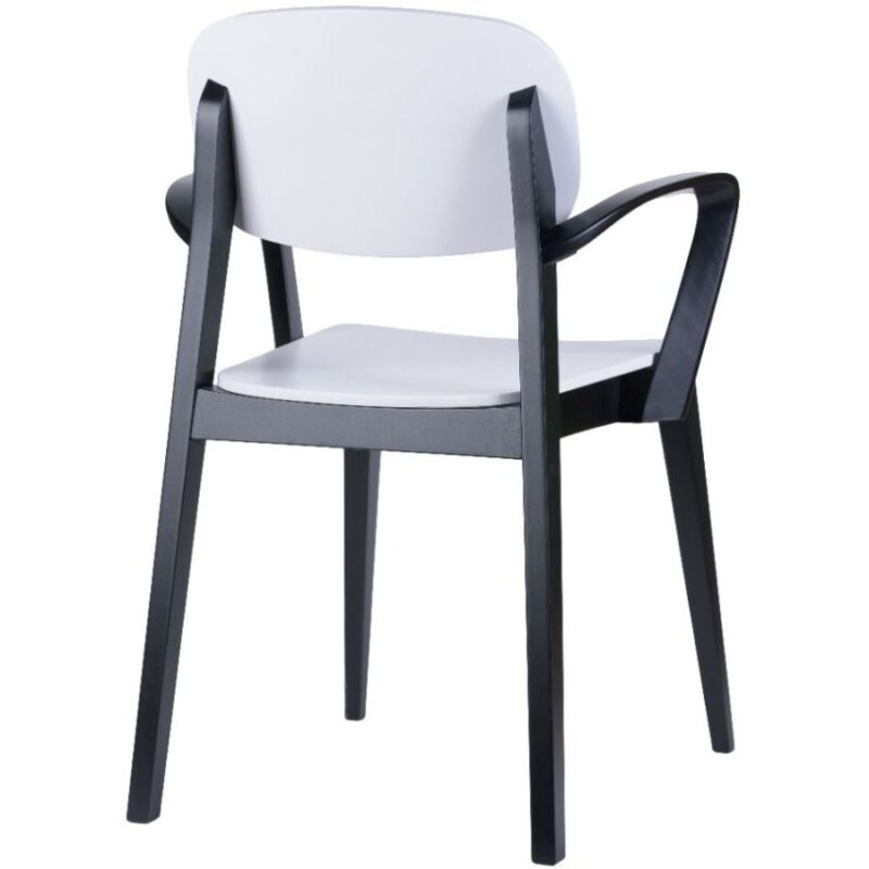 Majestic Allegra Carver Chair by Tessa (AOACC-T379) - Image 4