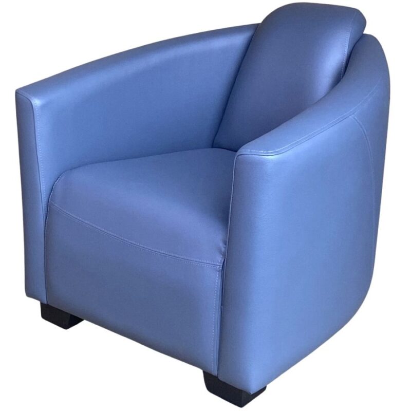 Brando Luxurious Tub Chair by Tessa (BTC-669)