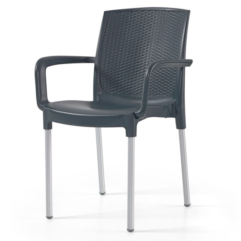 Tessa Diana Classic Arm Chair (DAC-1071)